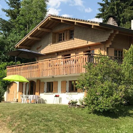 Chalet Les Marmottes Saint-Jean-de-Sixt Bagian luar foto