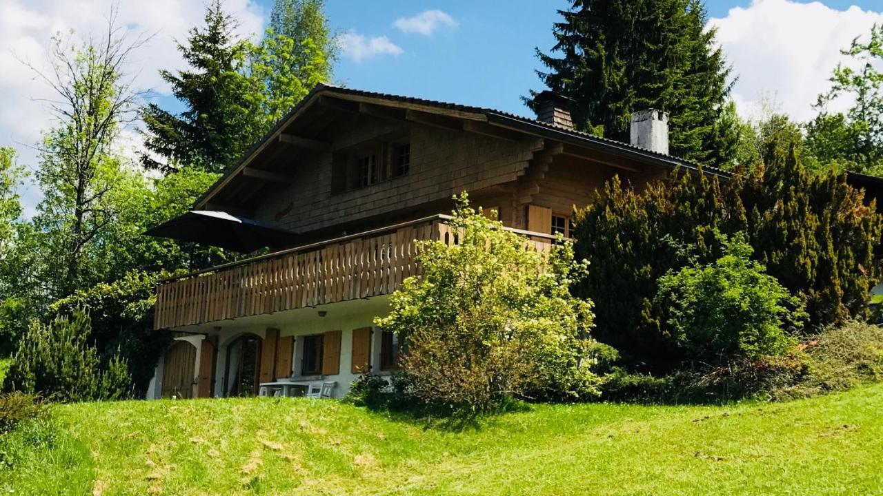 Chalet Les Marmottes Saint-Jean-de-Sixt Bagian luar foto