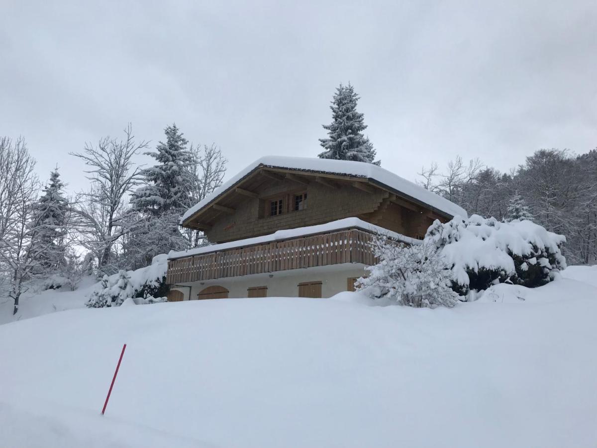 Chalet Les Marmottes Saint-Jean-de-Sixt Bagian luar foto