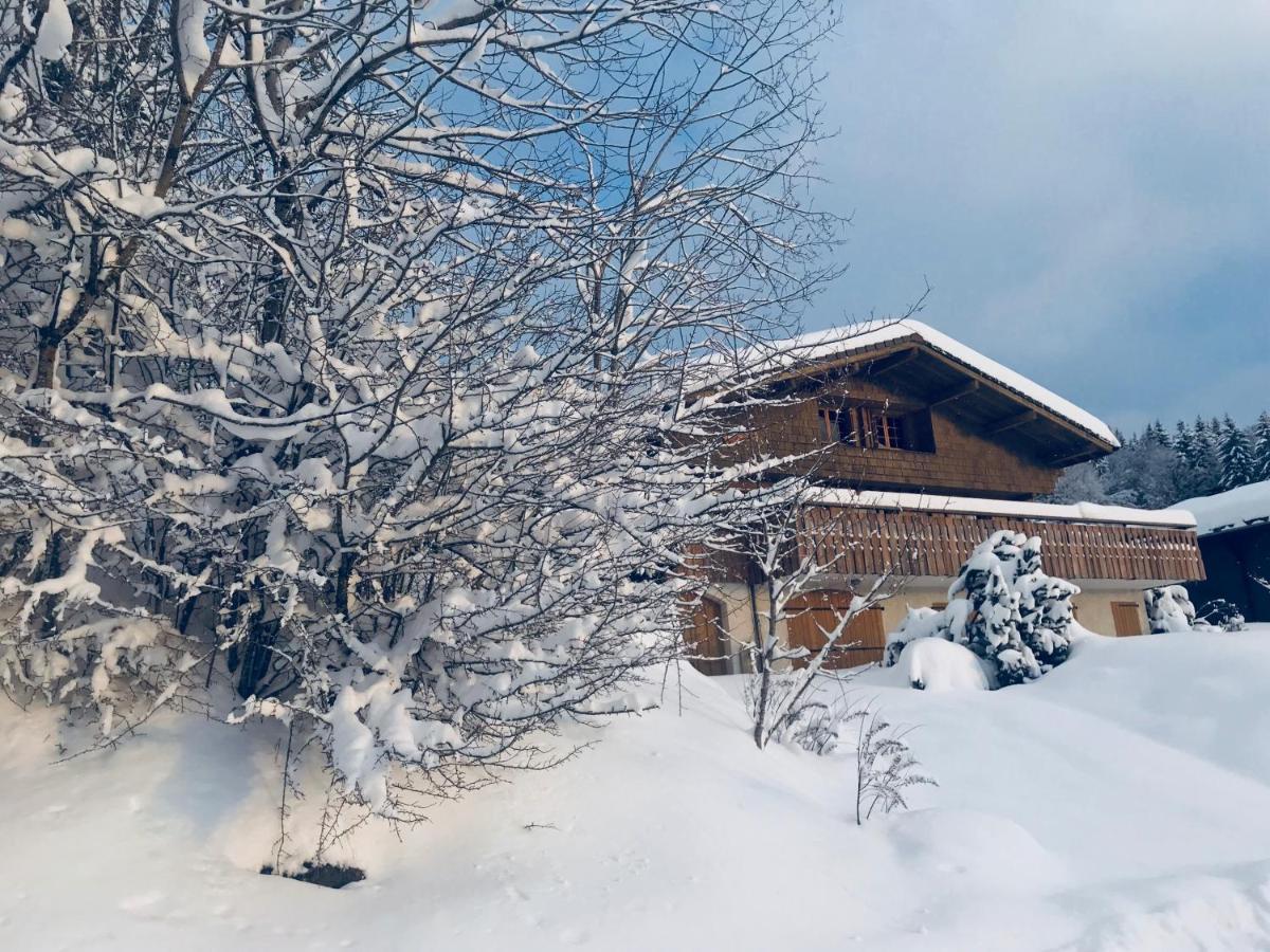 Chalet Les Marmottes Saint-Jean-de-Sixt Bagian luar foto